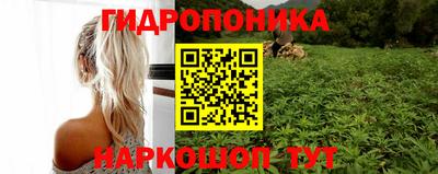 дурь Будённовск