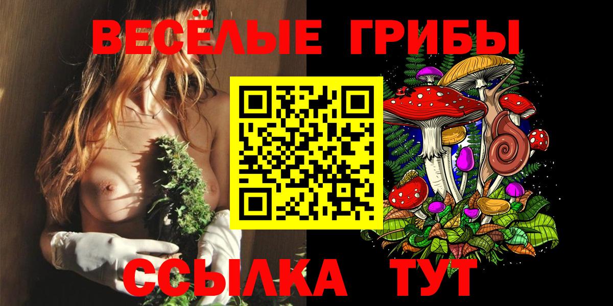 Галлюциногенные грибы MAGIC MUSHROOMS  Вход с VPN  Переславль-Залесский 