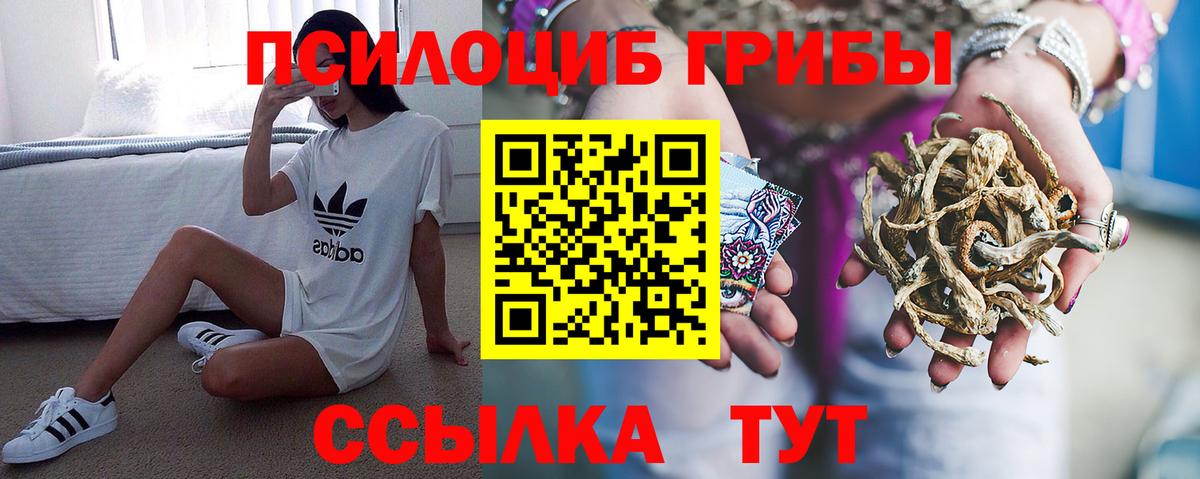 Псилоцибиновые грибы Psilocybe Переславль-Залесский